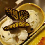 Tivoli À l'intérieur