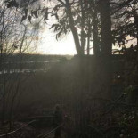 Cafe De Westerbouwing Bv Oosterbeek Extérieur