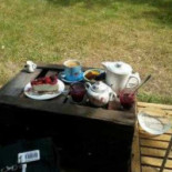 Theetuin De Wilde Framboos Nourriture