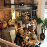 Coffee Coconuts À l'intérieur