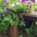 Eeterij De Schalkse Extérieur