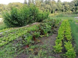 Hoeve Klein Mariëndaal Cibo