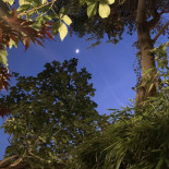 Le Grenier D'elvire Nourriture