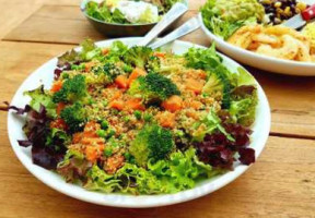 Haje Afsluitdijk Zurich B.v. Zurich Comida