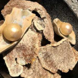 Meliefste Nourriture