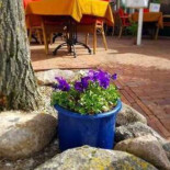 Het Vergulde Ros Extérieur