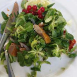 Cafe Eethuisje De Oase Zalk Nourriture