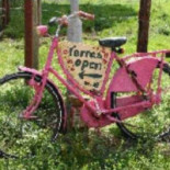 Achterum Klimmen Nourriture