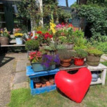 High Tea Theetuin Nijeholtpade Extérieur