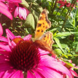 't Park À l'intérieur