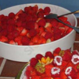 De Kamperfoelie Nourriture