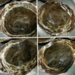 De Refugie Nourriture