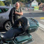 Le Scotch Extérieur