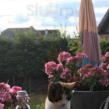 L'enfant Gâté Cibo