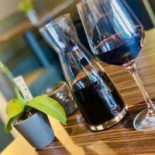 't Koekoeksnest Nourriture