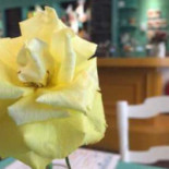 Koffieklap Nourriture