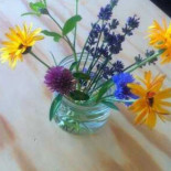 Living À l'intérieur