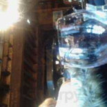 Roode Leeuw Nourriture