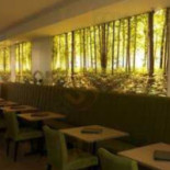 Hedera À l'intérieur