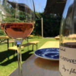 Minnie Frenchie Comida