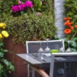 L'orchidee Blanche Nourriture