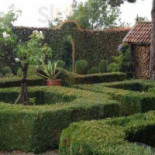 Rust Roest Extérieur