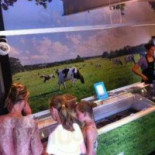 Hoeve Ten Bossche Comida