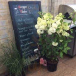 Taverne 't Kompas Exterior