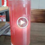 De Wijngaard Nourriture