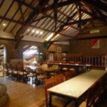 The Ugly Duck Dentro