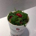 Basic Italian Comida