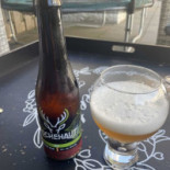 Singelkade Nourriture