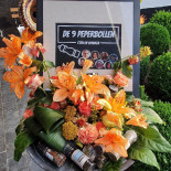 De 9 Peperbollen Exterior