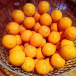 Suzie's En Van Aken Nourriture