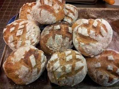 Texas Steak Sneek Comida