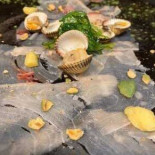 Yonkers Avenue Nourriture