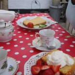 Theetuin Aartswoud Comida