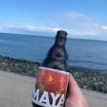 Tx10 Garnalenboot Nourriture