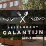 Galantijn Nourriture