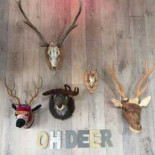 De Graancirkel Nourriture