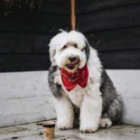 Eethuis Simple Nourriture