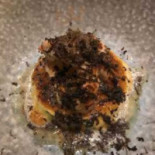 Klein Fornuis Comida