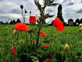 Bed And Breakfast Pingerhoeve À l'intérieur