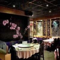 Mayflower Haarlem À l'intérieur