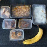 Klein Java Nourriture