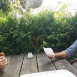 Restaria De Plataan Comida