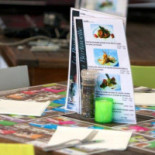 La Romana Pizzeria Pâtes Fraîches Carte