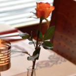 Le Santa Rosa À l'intérieur