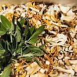 Pastabar Vieste Nourriture