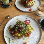 Blackbird Nourriture